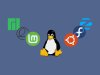 As Melhores Distribuições Linux para 2024: Uma Análise Comparativa